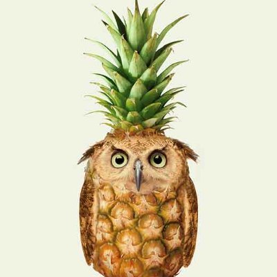 margauxbr1's profile picture. ✌️