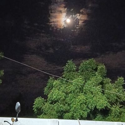 KanagaRaj194463's profile picture. 