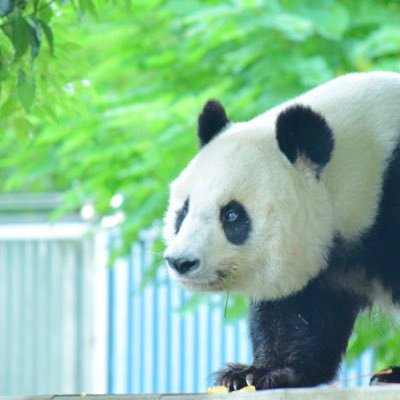 rikrkr2's profile picture. いいねがしたくて、初めてアカウント作りました。リュウヘイくん🐲が好き過ぎるけど、みんな好きです！よろしくお願いします！