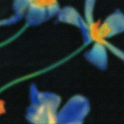 agrforlast's profile picture. ﴿ وَلَا تَخَافِي وَلَا تَحْزَنِي ۖ ﴾