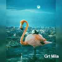 Grt Mila (@grtrmila) 's Twitter Profile