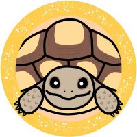 鯛ちゃんᗦ↞◃ (@taichann_sann) Twitter profile photo