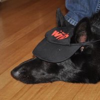 J (@j9675747) 's Twitter Profile