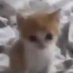 will (@williopd) Twitter profile photo will (@williopd) Twitter profile photo