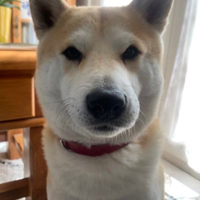 rx4mpbwxjq's profile picture. 