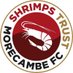 Shrimps Trust 🦐 (@shrimpstrust) Twitter profile photo Shrimps Trust 🦐 (@shrimpstrust) Twitter profile photo