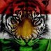 kurdish Tiger (@kurdishtigers) Twitter profile photo kurdish Tiger (@kurdishtigers) Twitter profile photo
