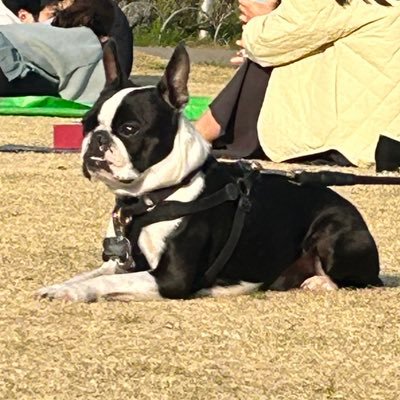 g____giiii's profile picture. 🏓のび太さんのエッヂ