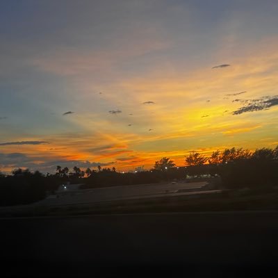 spidermanleo769's profile picture. 