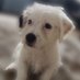 Paweł Babiak🇵🇱🇪🇺 (@pawel20121955) Twitter profile photo Paweł Babiak🇵🇱🇪🇺 (@pawel20121955) Twitter profile photo