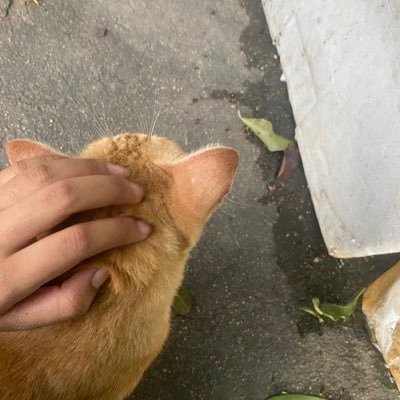miuminey's profile picture. dek 69 di wa