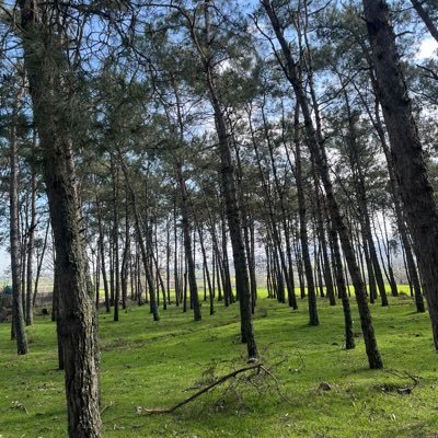 M_mehdiy27's profile picture. 