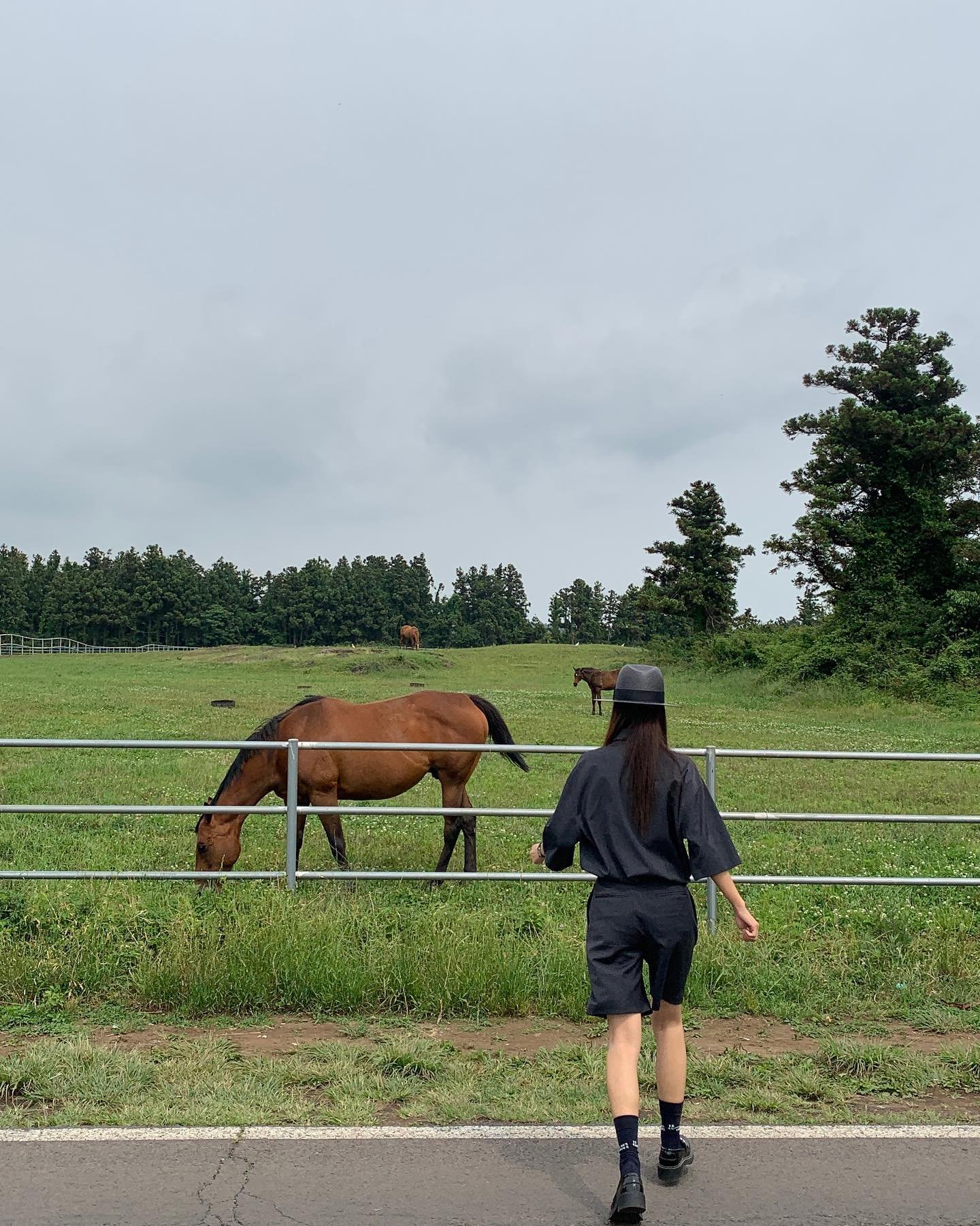 Synoshowtk_'s profile picture. 