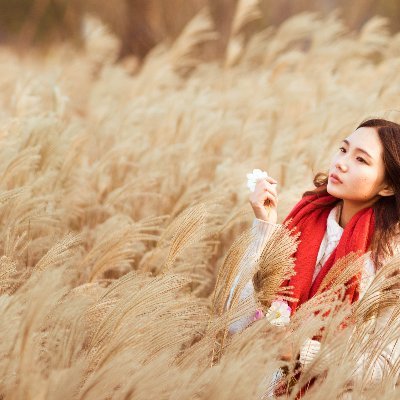 FormatoDar21355's profile picture. 