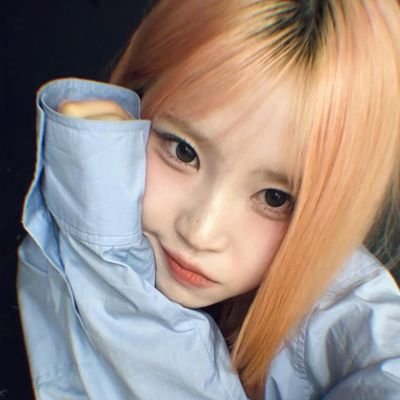 yonxin_823's profile picture. 05｜𝐒𝐕𝐓🐯 CP向 🐈‍⬛🐯｜𝐃𝐀𝐘𝟔🐰｜𝐍𝐌𝐈𝐗𝐗🐻‍❄️                一輩子的女團狗。混一二三次元  #호시 #원홋