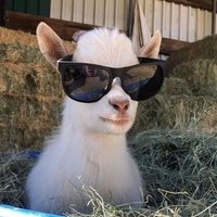 ์๋ (@elldertallen) 's Twitter Profile Photo ์๋ (@elldertallen) 's Twitter Profile Photo