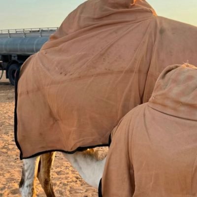 ! إن لم تعرفني فأكرمني بحُسن ظنك.