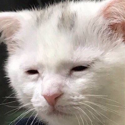 vstudy100's profile picture. 예의 무식한 사람들 너무 싫어요