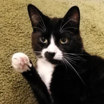 romkuzmin's profile picture. CAD, GraphQL, PowerShell