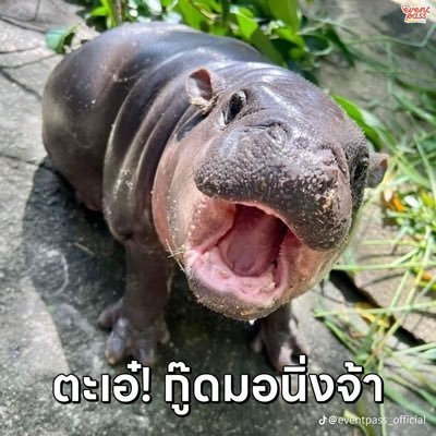 ChayNay25279's profile picture. 