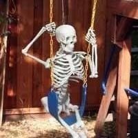 pmpkinskull's profile picture. 21 | esp/eng | he/him tboy