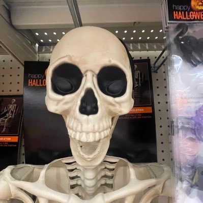 orella17636's profile picture. 