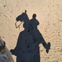 Fran (@chulian08) 's Twitter Profile