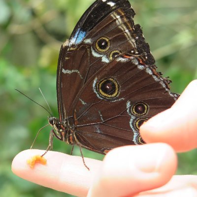 Im_DanaMena's profile picture. 