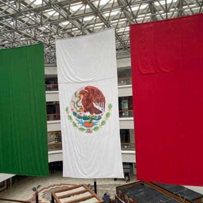 PacoReyes173795's profile picture. 