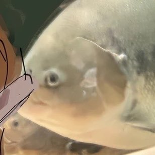 CYO_35's profile picture. すこし ROM