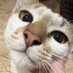 🐟 (@clarisarchel) Twitter profile photo 🐟 (@clarisarchel) Twitter profile photo