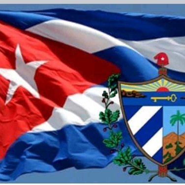 EeLicor's profile picture. Escuela Especial