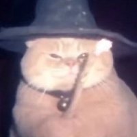 N5 (@gr_hny) 's Twitter Profile Photo