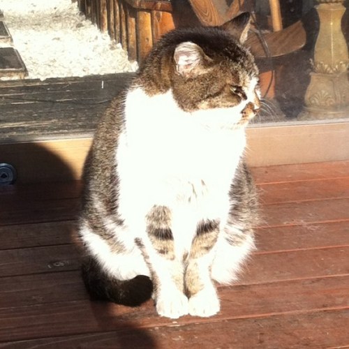 a_kaz1930's profile picture. 