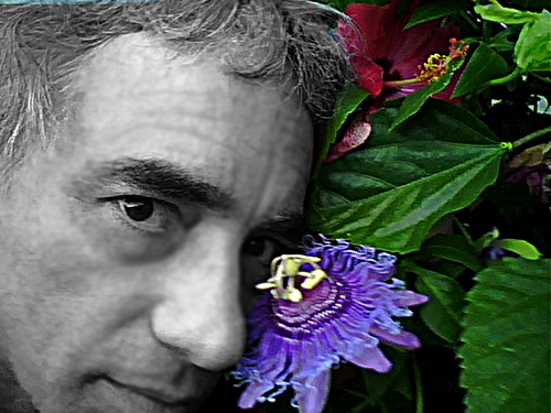 michael bergeron Profile
