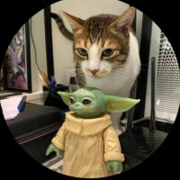 laavanya (@laavastillhates) 's Twitter Profile Photo laavanya (@laavastillhates) 's Twitter Profile Photo