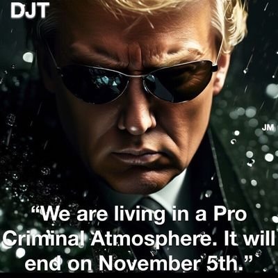 MikVV1136218's profile picture. 