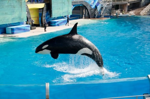 haggismafia's profile picture. 