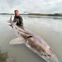 Johnnytheboy (@johnnythebouy) 's Twitter Profile