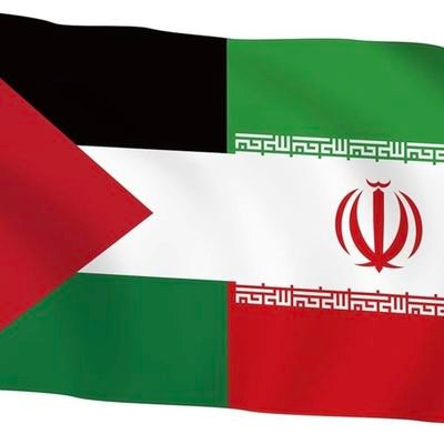 e3478555d4bb488's profile picture. 