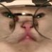 odd (@oddmb_) Twitter profile photo odd (@oddmb_) Twitter profile photo