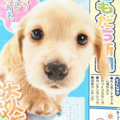 아지さんのプロフィール画像