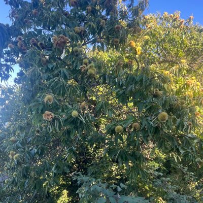 Dave_Rempel_44's profile picture. Bitcoiner, mountain biker, hiker, traveller, optimist, question asker.