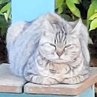Hiro (@intlcafe) 's Twitter Profile