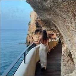 SeatooauS1's profile picture. 