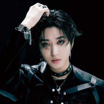 Stray Kids fan account
she/her
minors dni
priv when asleep