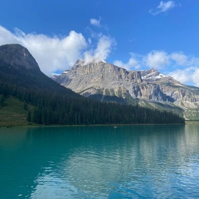 F_B301's profile picture. 🇵🇸