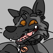 22! θΔ ASD+ADHD he/she/they/fox i have moved to beesky!
check out my telegram channel, https://t.co/6DtSHMl1Zw !