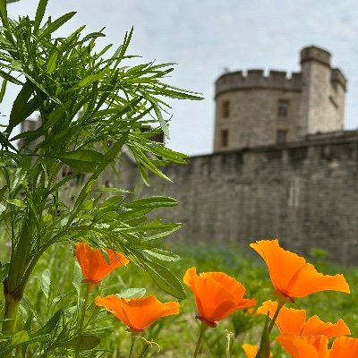 gretawith1t's profile picture. If only sarcasm burned calories