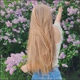 PooslaretNRmf7's profile picture. 